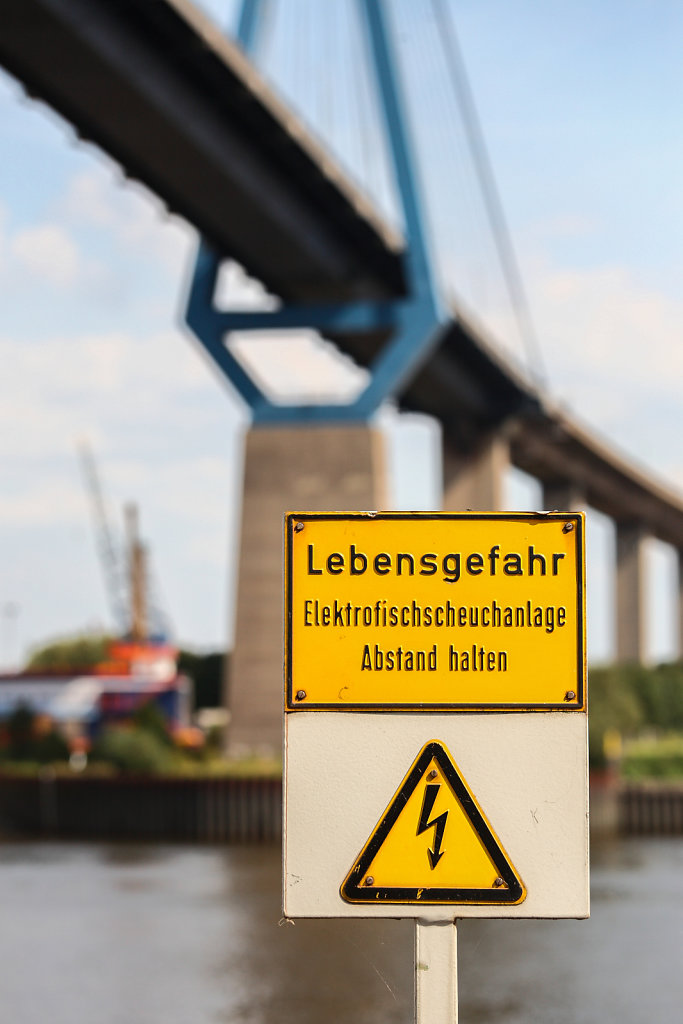 20090823-5D-RH-4.jpg